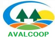 logo-cliente